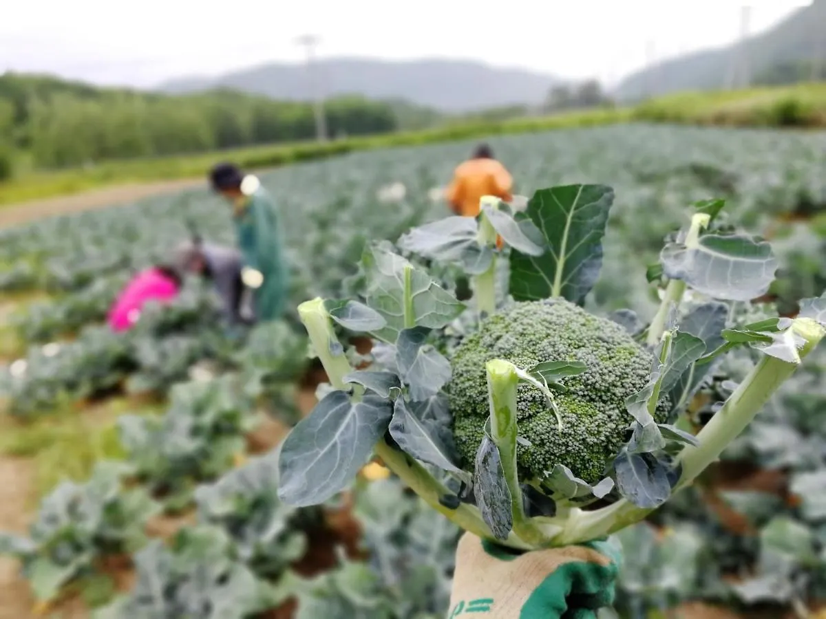 Farm Stay Ezura Farm Engaru Japan